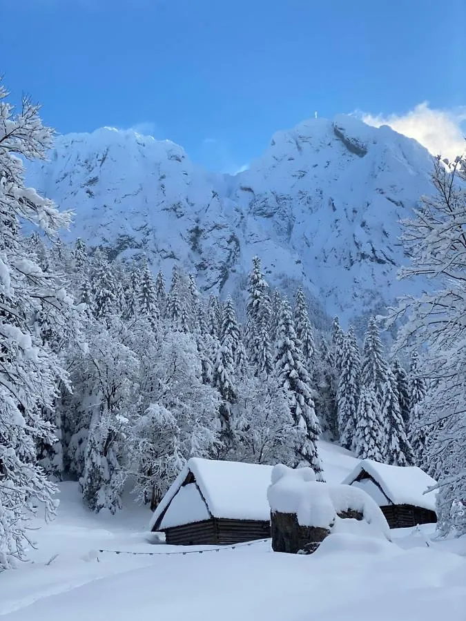 Rusalka Zakopane Panzió